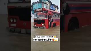 Leyland බස් වලට ගහන්න බස් එකක් නෑ 🔥  slbustrending 1millon automobile shortsfeedshortsvideo [upl. by Patti]