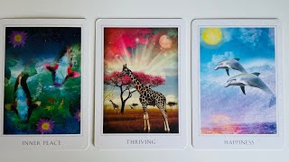 quotWhat You Need to Know Right Nowquot Pick a Card Timeless Tarot [upl. by Yadrahs]