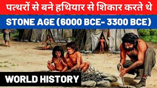 Stone Age in Hindi  Stone Age History  Stone Age History in Hindi  World History [upl. by Aloek308]