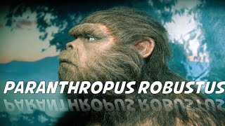 Paranthropus robustus [upl. by Arahsal509]