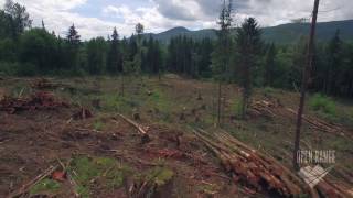 Deforestation Clear Cutting Aerial [upl. by Cutcheon]