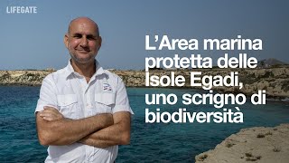 L’Area marina protetta delle Isole Egadi uno scrigno di biodiversità [upl. by Ribak]