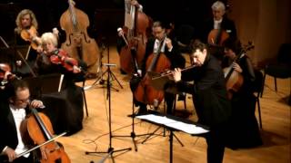 A Schibler quotElegishe Musikquot op52 for flute cello and strings [upl. by Ijneb]