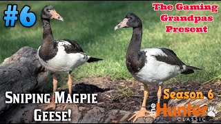 theHunter Classic  Season 6 2020  Sniping Magpie Geese [upl. by Euqinna]