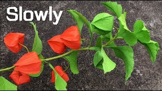 ABC TV  How To Make Physalis Alkekengi Flower From Crepe Paper Slowly  Craft Tutorial [upl. by Melak]