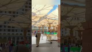 Mera dil tadap rha le chlo madina naath shreefbeautiful madinaytshortshortfeed [upl. by Phelgen]