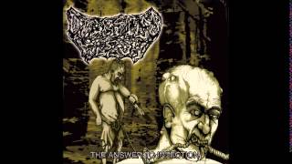 Digested Flesh  The Answer To Infection Full Album [upl. by Nij]