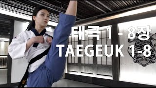 All Taegeuk Poomsae 태극 품새 전체 18장 [upl. by Hsirt]