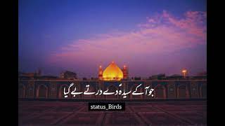 Jo V Aa k Syeda Dy Dar Ty Be Gya Syeda Fatima Shakeel AshraflyricsWhatsApp Statusstatus Birds [upl. by Nimsay458]