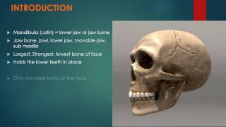 Development of Mandible amp Its Blood Supply I Dental Guide I Dr Bimal Chand I [upl. by Ahel472]