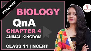 Biology Questions and Answers Practice Session Chapter 4 Animal Kingdom  Class 11 NCERT [upl. by Pacian]