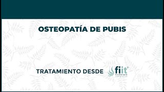 Osteopatía de Pubis o Pubalgia Tratamiento de Fisioterapia  FisioClinics Palma de Mallorca [upl. by Adora]