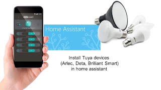 Install Tuya devices Arlec Deta Brilliant Smart in home assitant [upl. by Biles46]