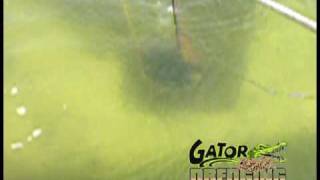 GatorMicroDredging  60 seconds [upl. by Yenor]