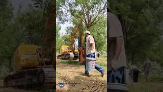 Revolutionary Tree Transplanting Tech Saving Trees by Moving Roots and All [upl. by Miuqaoj165]