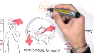 Brief Introduction to Psychosis [upl. by Suhcnip]