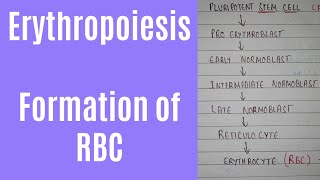 Erythropoiesis process and erythropoiesis location  formation of RBC [upl. by Sherill]