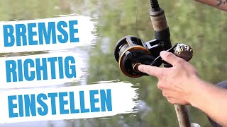 ► Bremse einstellen leichtgemacht  Bremse einstellen Anleitung  Dudis 101 [upl. by Cumings]