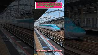 JR East Tohoku Shinkansen E5E6 low speed passage Utsunomiya Station 2japantrains shinkansen [upl. by Aleunamme]