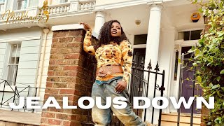 Makhadzi Entertainment  Jealous Down Type Beat Instrumental  feat Dr Skaro [upl. by Erelia413]