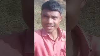 Bastariya love story  bastar shorts video halbi video halbistory🤗🤗 [upl. by Kantor]