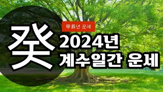 갑진년 2024년 계수일간 운세 [upl. by Akirderf36]