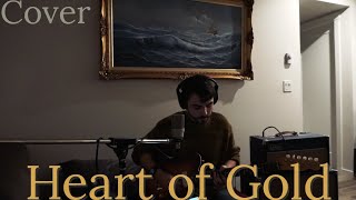 Heart of Gold  Shawn Mendes Michael B Ellis Cover [upl. by Nyraf]