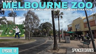 Episode 18 A trip to Melbourne Zoo before leaving Melbourne  final day Sept 2024 [upl. by Nahij410]