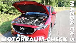 2019 Mazda CX 5 22 Diesel 150 PS 110 kW Fakten Motor Leistung Drehmoment Motor Check Verbrauch WLTP [upl. by Oirretna]