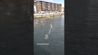 Puente Colgante Portugalete bilbao portugalete paisvasco recuerdosinolvidables elsalvador503 [upl. by Mintun]