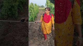 Manasu kanulu thericha jayammovievairal short trending farming love 😍🥒💪 [upl. by Jill979]