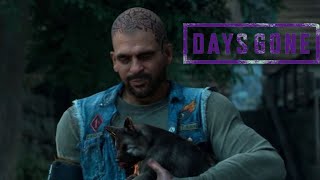 DAYS GONE 14GAMEPLAY EM PORTUGUÊSPS5 [upl. by Anallese]