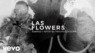 Xantos Totoy El Frio  ft Koora Las Flowers Video Oficial [upl. by Ahsuas]