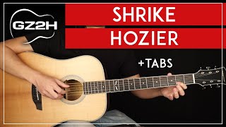 Shrike Guitar Tutorial Hozier Guitar Fingerpicking Lesson [upl. by Raseac276]