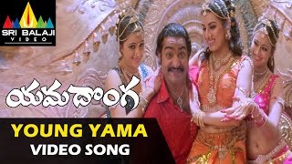 Yamadonga Video Songs  Young Yama Video Song  JrNTR Navaneeth Kaur Archana  Sri Balaji Video [upl. by Andreana541]