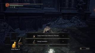 Dark Souls 3 Drang Hammers and Drang Armor Set Location [upl. by Aicitan946]