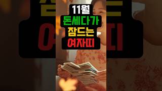 11월 돈세다가 잠드는 여자띠 [upl. by Oahc]