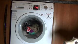 Bosch Logixx was32461 Washer  Delicates Aqua Plus Overloaded [upl. by Llerrat]