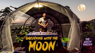 Moon Planting And Gardening Guide  Moon Planting Unlocking the Full Potential of Your Seeds [upl. by Keenan]