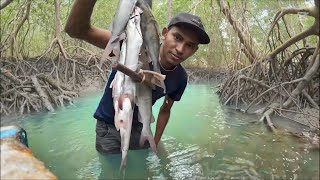 PESCANDO DE LINHA DE MÃO NA BEIRA DO MANGUE [upl. by Gelhar]