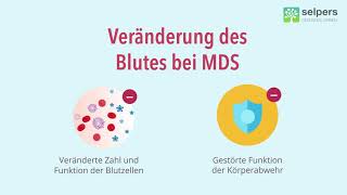 Veränderung des Blutes bei MDS Experte erklärt [upl. by Androw63]