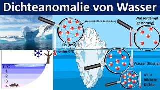 Dichteanomalie des Wassers  Bedeutung für das Leben im See  Biologie Mittel und Oberstufe [upl. by Asiled259]