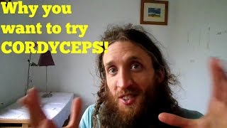 The Benefits of Cordyceps and How it Compares to Others Top Tonic Herbs [upl. by Coward418]