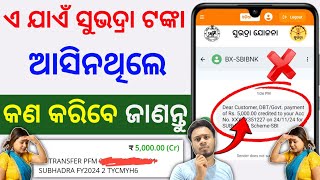 ସୁଭଦ୍ରା ଟଙ୍କା ଆସିନଥିଲେ ଦେଖନ୍ତୁ  subhadra yojana money not received  subhadra money credit [upl. by Enait435]