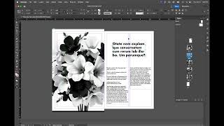 Indesign Zine Layout and save as PDF Spread [upl. by Atila57]