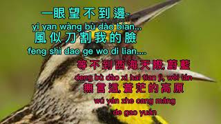 西海情歌 xi hai qing ge karaoke no vocal 05 [upl. by Einallem789]