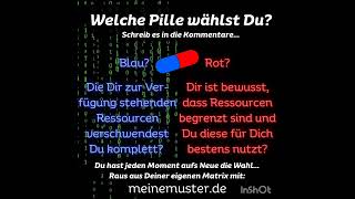 Welche Pille wählst Du Schreib es in die Kommentare Verschwendest Ressourcen oder nutzt Du sie [upl. by Hopfinger803]