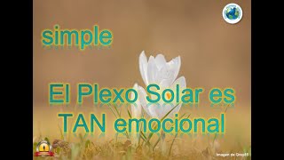 Simple Ese Plexo Solar TAN Emocional [upl. by Evaleen141]