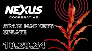 Nexus Grain Update  October 29 2024 [upl. by Kelly]