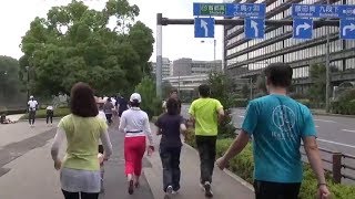 Japan Trip 2014 Tokyo Imperial Palace Running 皇居ランニング [upl. by Nosmirc]